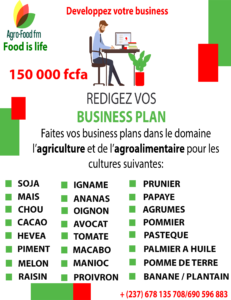 Rédaction de business plan en agriculture et agroalimentaire