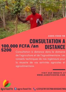 Consultations et suivi de projet en agriculture