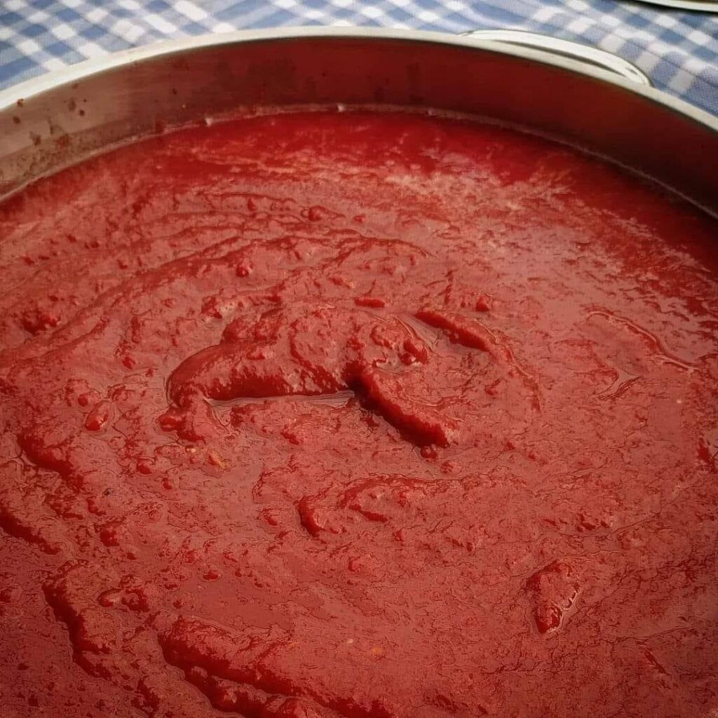 le devenir de la tomate après récolte