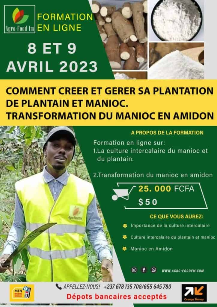 Formation sur la culture de plantain et de manioc