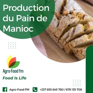 Production du Pain de Manioc