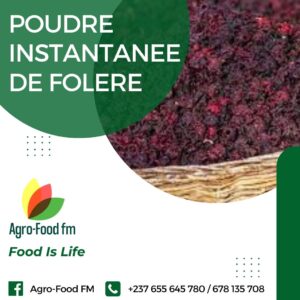 POUDRE INSTANTANEE DE FOLERE