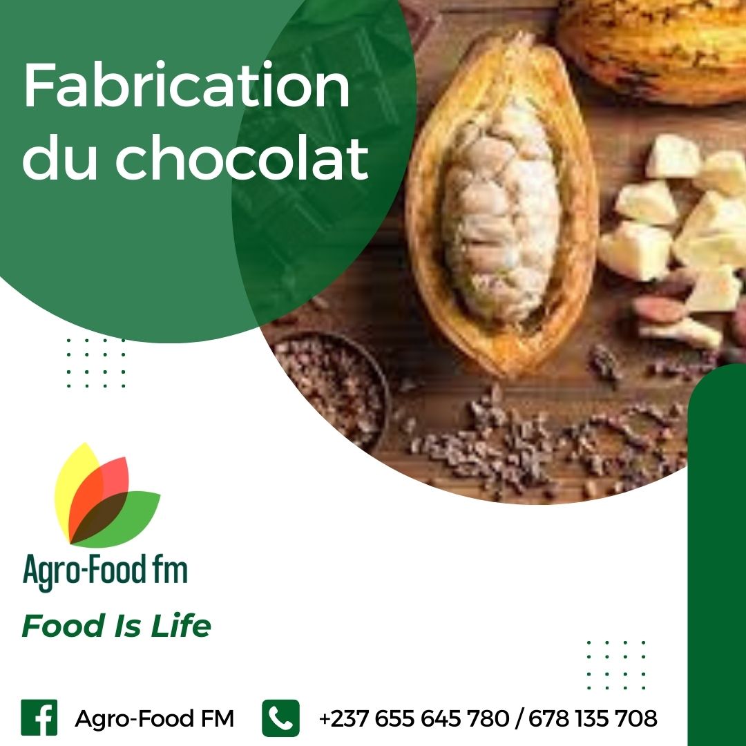 Fabrication du chocolat