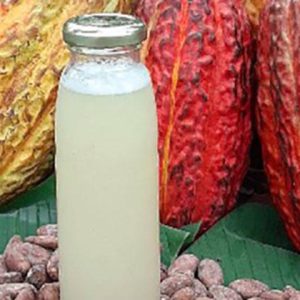 TRANSFORMATION DE LA PULPE DE CACAO EN JUS